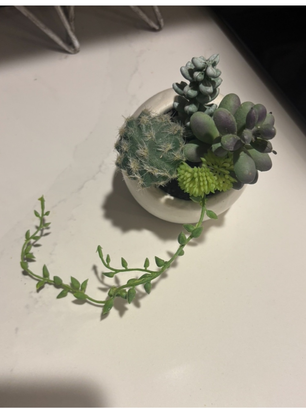 Succulent garden vase - faux